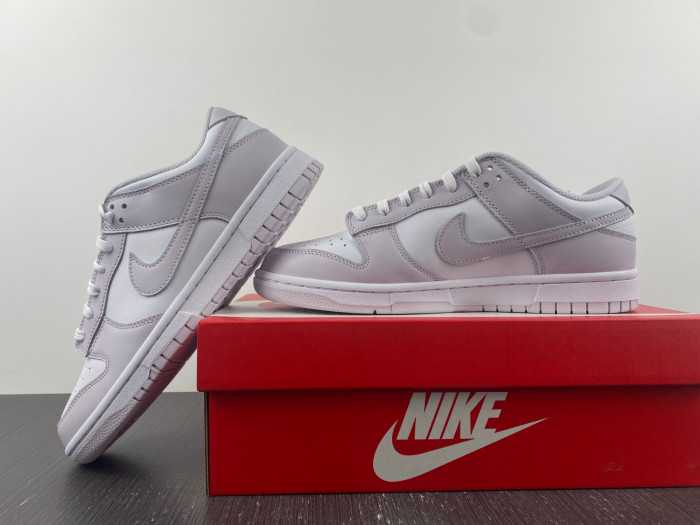 Nike Dunk Low Venice DD1503-116