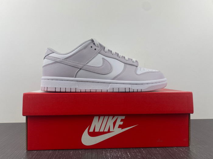Nike Dunk Low Venice DD1503-116