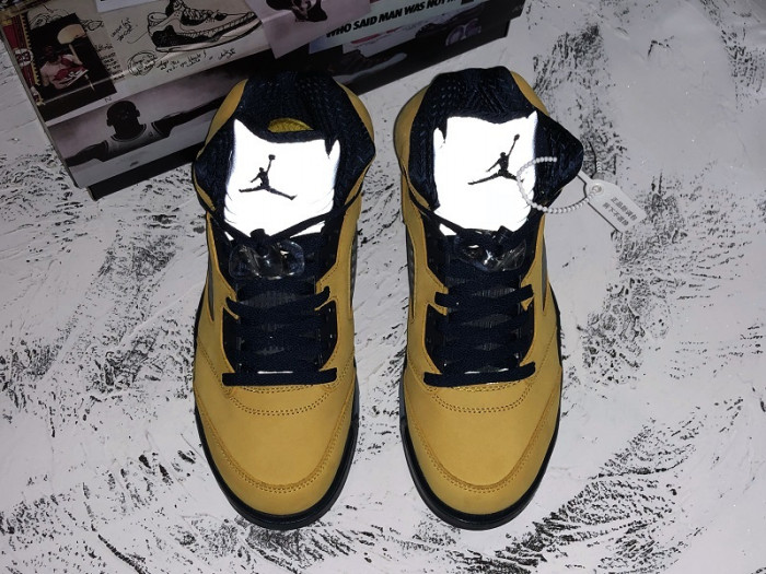 Air Jordan 5