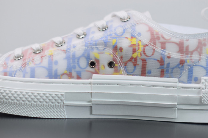 D10R B23 Oblique Low Top Sneakers L00N4