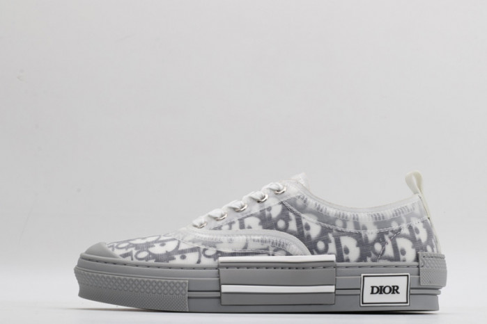 D10R B23 Oblique Low Top Sneaker