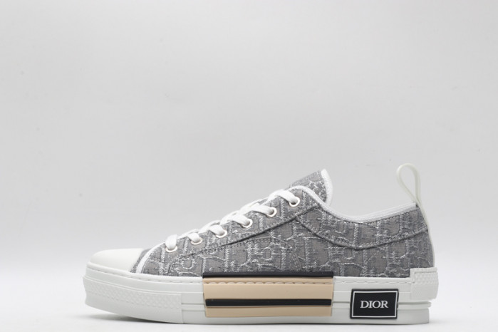 D10R B23 Oblique Low Top Sneaker