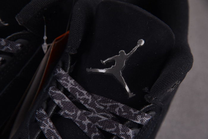 Air Jordan 3 Black Cat CT8532-001